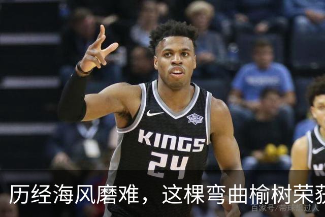 历经海风磨难，这棵弯曲榆树荣获英国年度树王称号